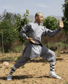 武术培训-少林小洪拳1