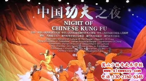 嵩山少林武术学校表演队表演功夫之夜图片