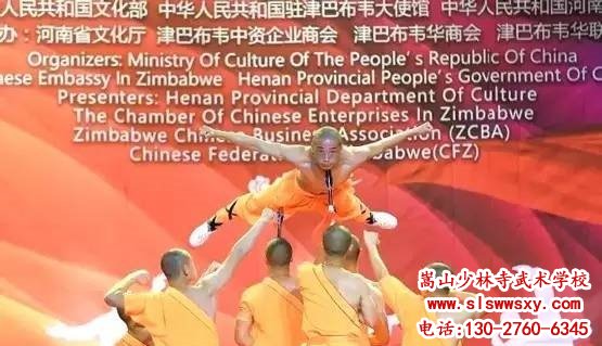 嵩山少林武术学校表演队表演功夫之夜图片