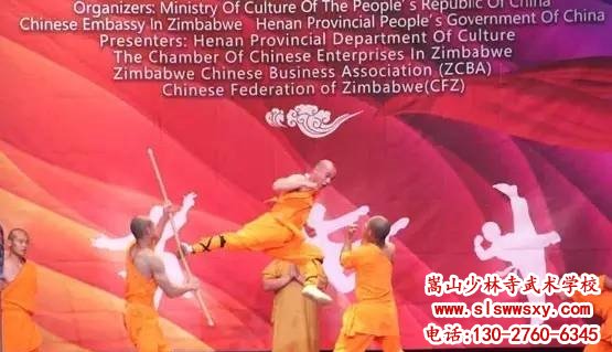 嵩山少林武术学校表演队功夫之夜图片