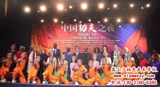 嵩山少林武术学校表演队表演功夫之夜图片