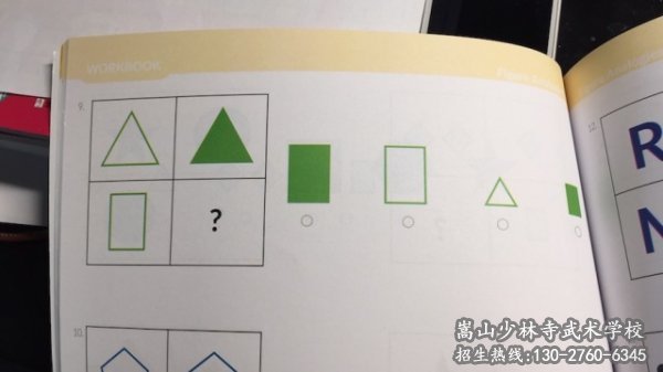少林武术学校:孩子的逻辑思维发展有个窗口期，一旦错过可就晚了！