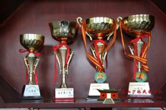 嵩山少林武术学校武术比赛一等奖杯