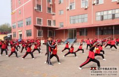 学习各类少林武术拳武术套路-嵩山少林武术学校-嵩山少林文武学校-少林学校