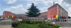 嵩山少林武术学校办学特色是什么？