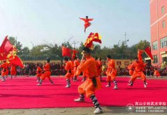 去少林武术学校有机会出国表演吗