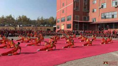 习武要持之以恒，坚持不懈才能功成名就-嵩山少林武术学校