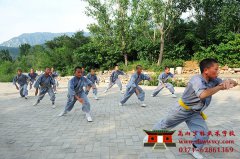 从武术中来看人生智慧-嵩山少林武术学校谈武功