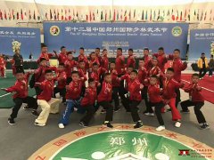 嵩山少林武术学校优秀学员参加第十二届武术节