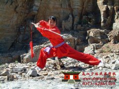 少林武术学校招收女子学员