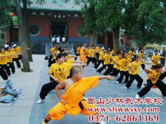 从少林武校能转回当地学校么？