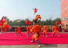 全国十佳武术院校排名中有河南嵩山少林武校吗？