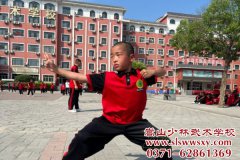 少林文武学校哪所学校最好？