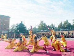 少林寺武校哪所是正规的？
