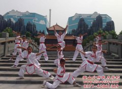 2024河南嵩山少林寺武术学校招生条件和学费标准